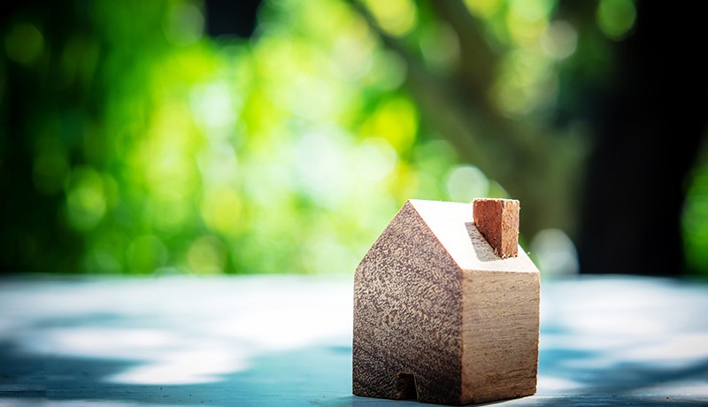 Millenials Buying A Home